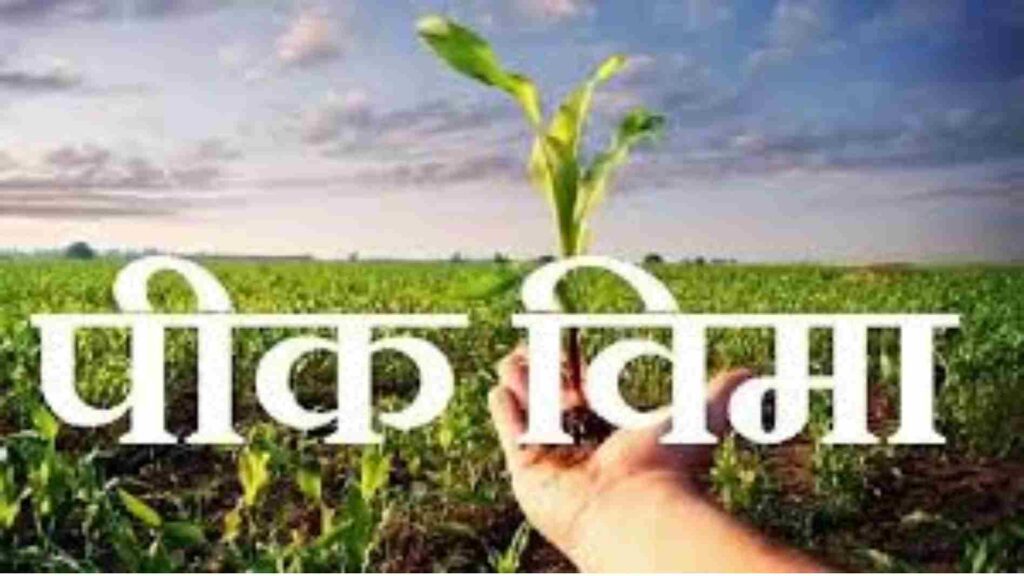 Crop Insurance maharashtra Lists